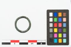Foto von Bronzering (NHMW-PRAE-048348)
